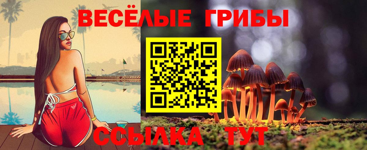 Псилоцибиновые грибы Magic Shrooms Краснокаменск
