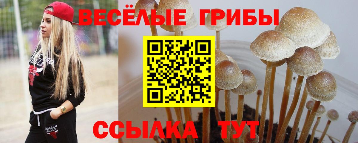 Галлюциногенные грибы Magic Shrooms  Вход с VPN  Краснокаменск  где найти наркотики  Псилоцибиновые грибы мухоморы 